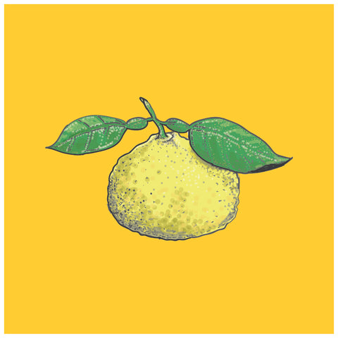 February is Love Yuzu Month!