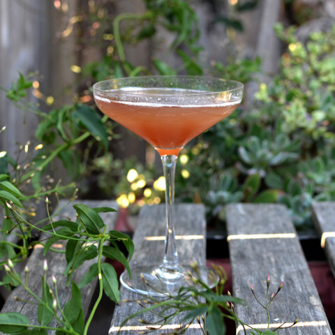 Stella Coupes are Back in Stock!