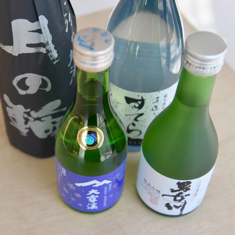 Female Frontrunners (March 2023)