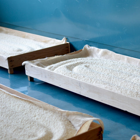 Go Gohyakuman-goku! (April 2019)