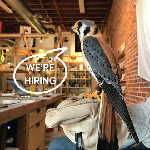 Umami Mart is Hiring!