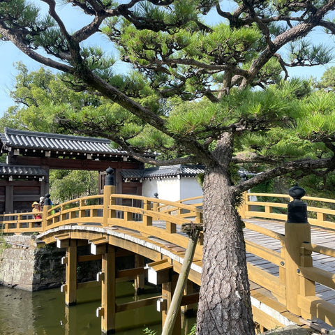 My Wakayama Travelogue