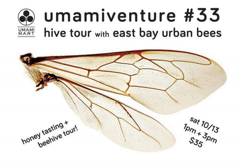 Upcoming Event: Umamiventure #33: Hive Tour with East Bay Urban Bees