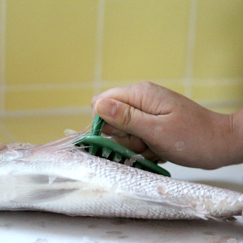 Fresh Catch! The Indestructible Benriner Fish Scaler