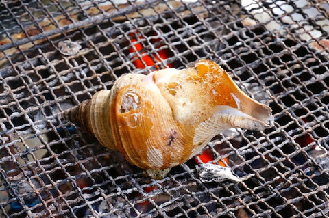 Furochan Eats: Out in Otaru, Hokkaido