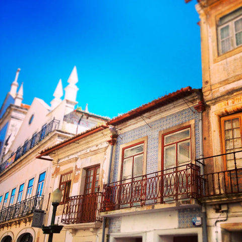 Skankynavia: A Portuguese Quickie