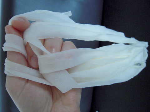 Japanify: Preparing Kanpyo