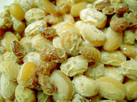 Japanify: Making Natto in North America