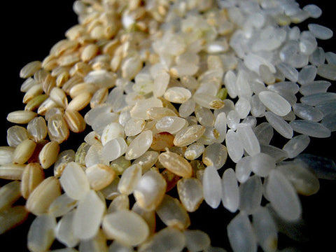 Japanify: White, Brown and Germ Rice