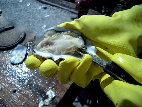 Japanify: How to Shuck a Raw Oyster