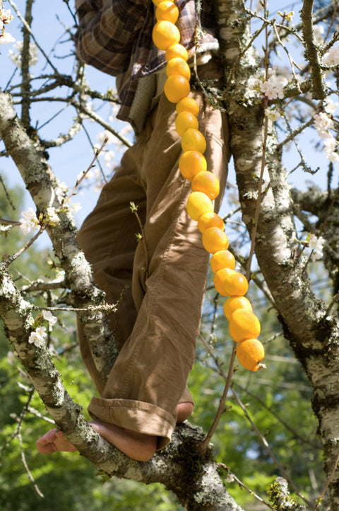 Culinography: A String of Lemons