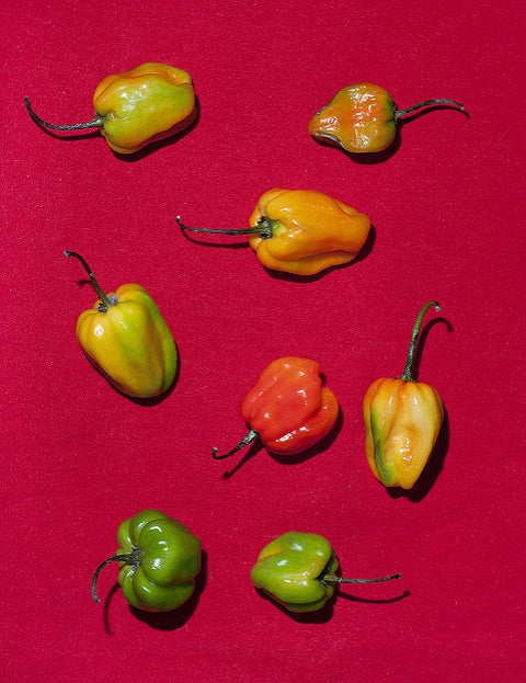 Culinography: Jamaican Chili Peppers