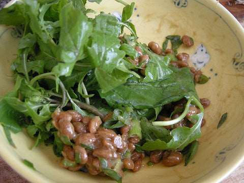 Ode to Japanify: Natto-A-Day
