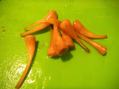 ReCPY: Ramps, The Sign of Spring