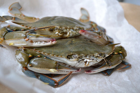 Japanify: Soft-Shelled Sacrifice