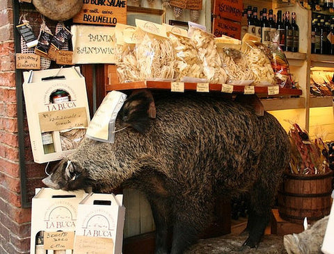 Jerkey's Korner: Under the Tuscan Sun + Moon