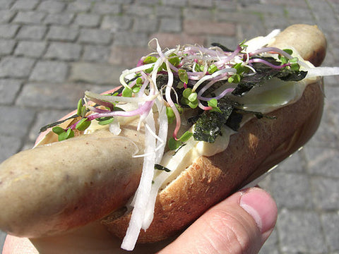 Skankynavia: Hot Dogs for Japan (CPH)