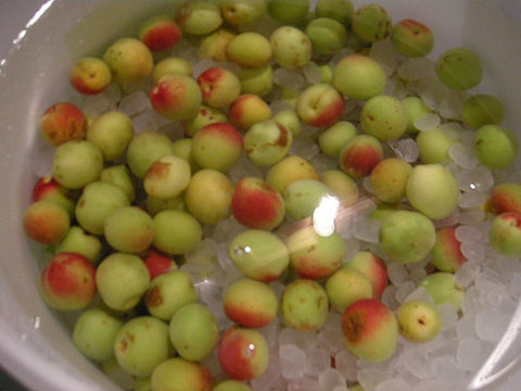 The Ume Project: Umeshu (Plum Liqueur)