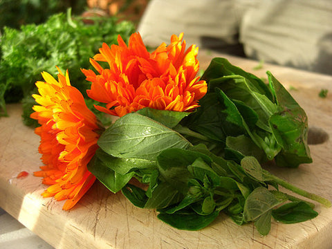 Skankynavia: Hiker's Kitchen