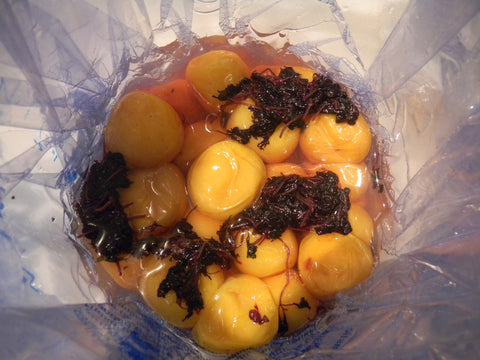 Battle ReCPY: NYC Umeboshi Project, Pt. 2
