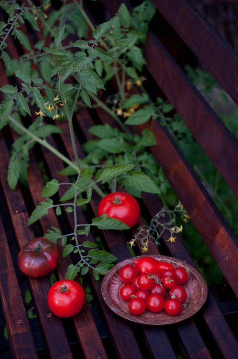 Culinography: Summer Tomatoes in September