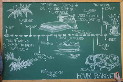 Journey From Coffee Bean to Coffee Cup