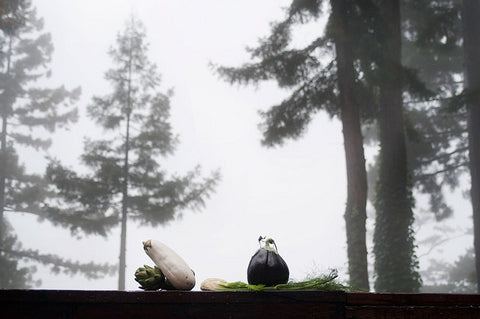 Culinography: Introducing Forest Feast