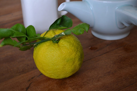 Japanify: Yuzu Ginger Tea