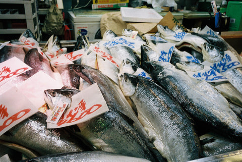 Postcard from Aomori: Sockeyes