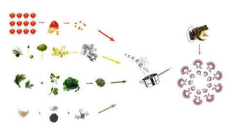 Culinography: Frogs' Legs Provençale Paysanne