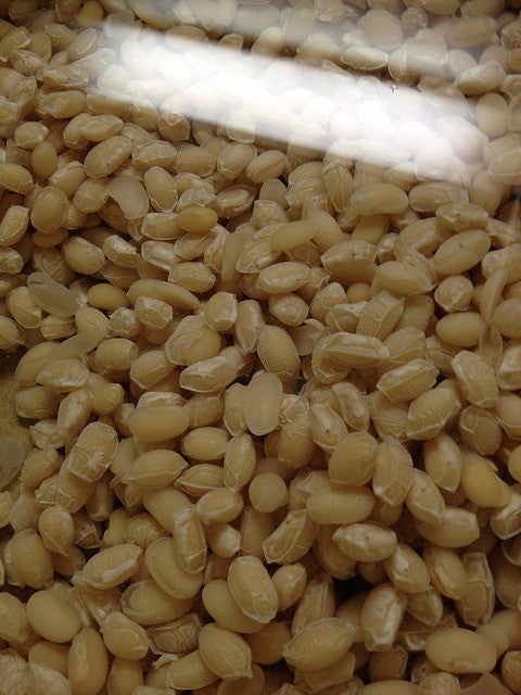 ReCPY: Anko (Sweet Bean Paste) + Wagashi Event @ Japan Society (NYC)