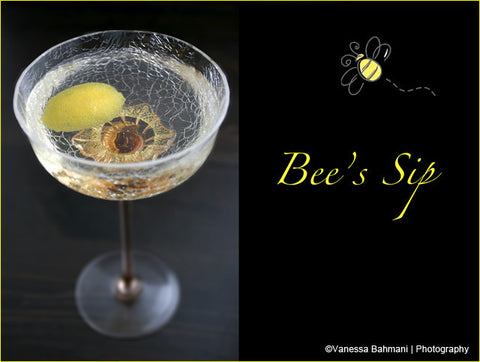 The PDT Project: Bee's Sip