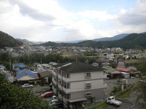 Conbini Cabaret: My Inconvenient Conbini Town