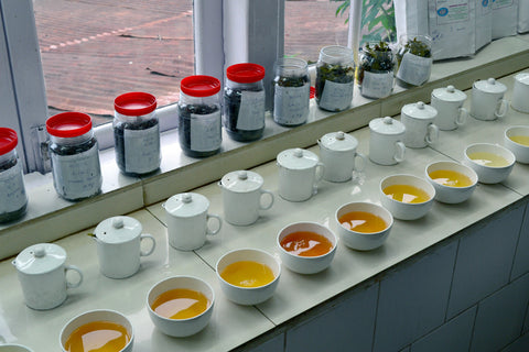 Darjeeling Discovery: Junpana Tea Estate