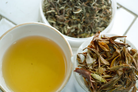 Darjeeling Discovery: Castleton Tea Estate