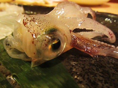 Postcard from Hokkaido: Here's Looking at YOU