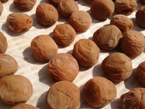 MOTOism: NYC Umeboshi Project: Year Two