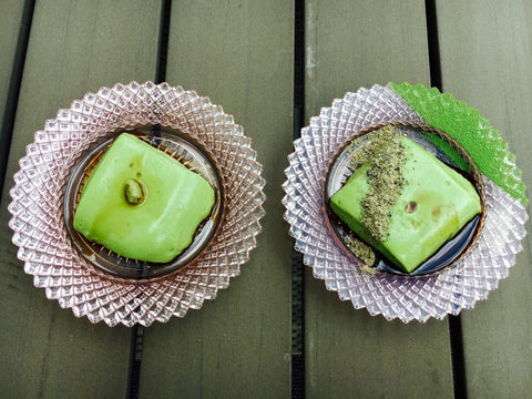 MOTOism: Matcha Sesame Tofu Two Ways