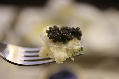 MOTOism: Ultimate Luxury @ 35,000 feet