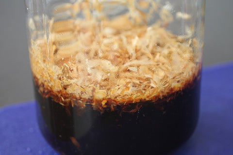 MOTOism: Homemade Ponzu