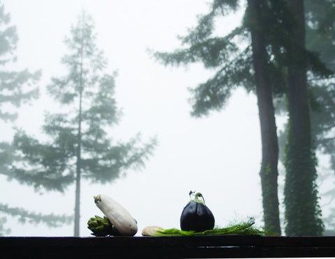 The Forest Feast Show @ Umami Mart