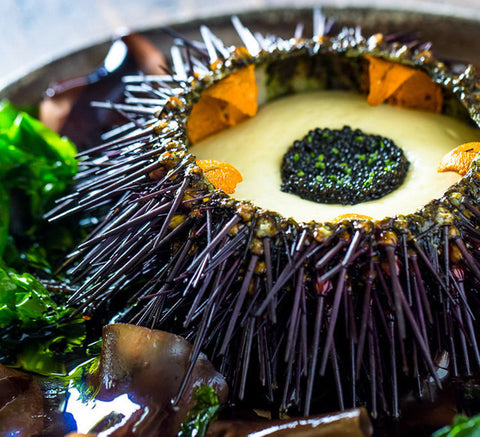 Bay Eats Japan – December 2016