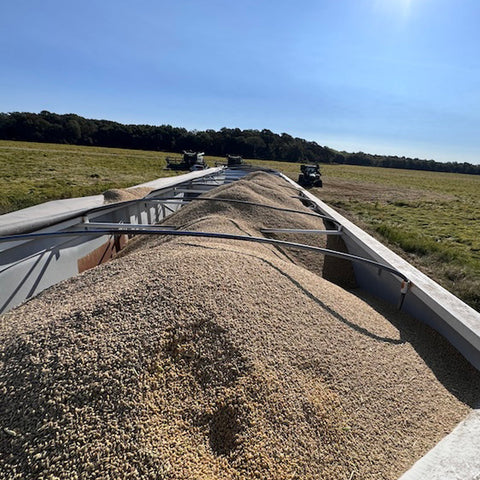 Arkansas Rice (May 2025)