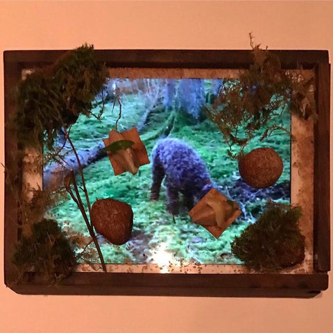 The Umami Reader: iPads as Plates, This is San Francisco