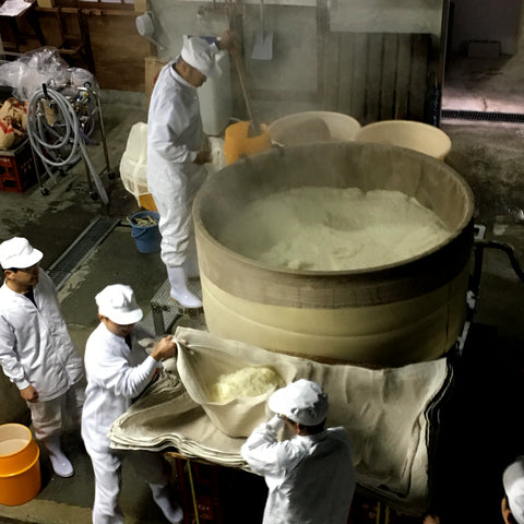 Sake Gumi Newsletter: Mizumoto (August 2024)