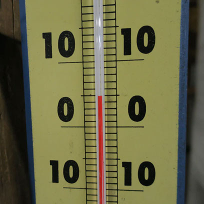 Low Temperature Fermentation (January 2023)