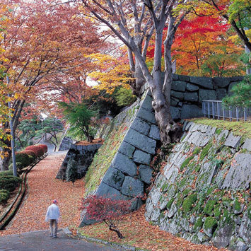 The Terroir of Iwate Sake (September 2022)