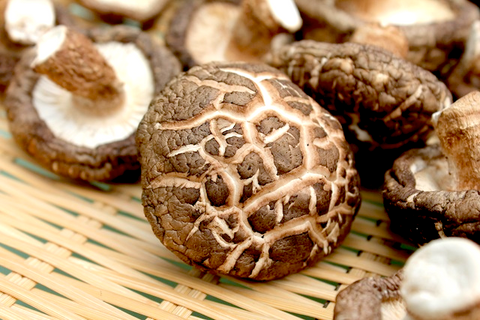 MOTOism: Homemade Dried Shiitake
