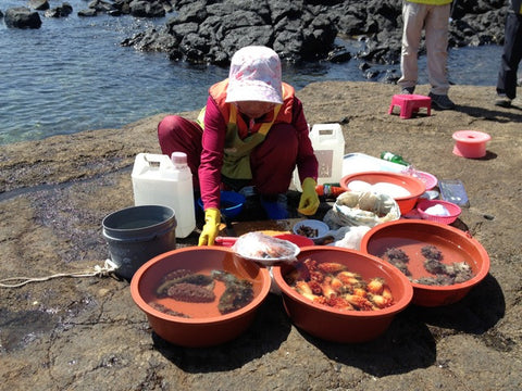 Haenyo: Diving for Sea Creatures on Jeju Island