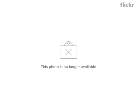 Letter From the Editor: Year of the Rabbit